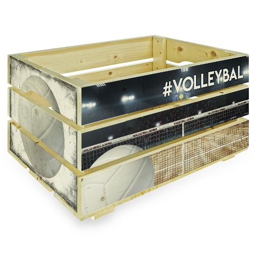 Fietskrat Volleybal 500x500