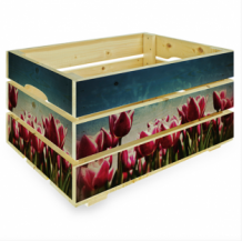 Tulpen