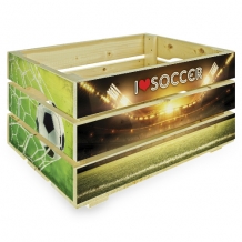 Fietskratje Soccer 500x500